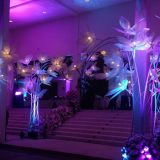 psysnl-ambient-&-mood-Lighting-d