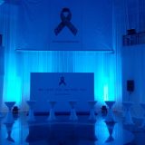 psysnl-ambient-&-mood-Lighting-h